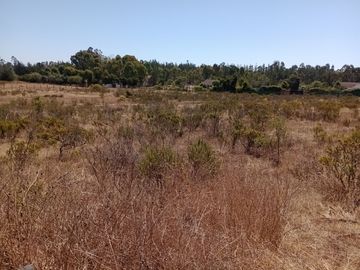 Vendo en Algarrobo estupenda parcela