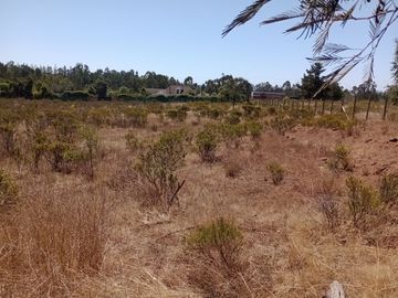 Vendo en Algarrobo estupenda parcela