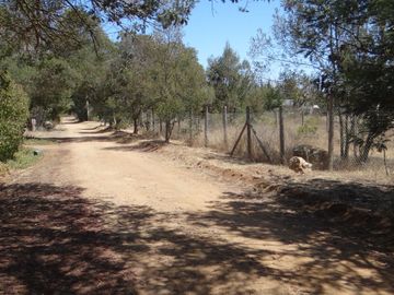 Vendo en Algarrobo estupenda parcela