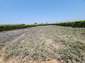 LOTE EN CASA BLANCA CERRO AZUL