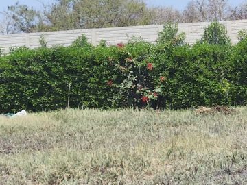 LOTE EN CASA BLANCA CERRO AZUL