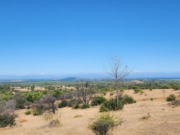 Parcela rodeada de viñas con vista única al valle del Maule - San Javier