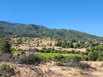 Parcela rodeada de viñas con vista única al valle del Maule - San Javier