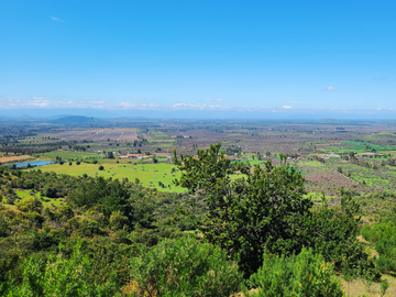 Parcela rodeada de viñas con vista única al valle del Maule - San Javier
