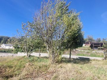Amplio Terreno Urbano Panguipulli