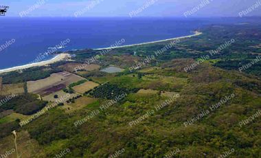 HECTAREA EN VENTA (10,000 m2) A SOLO 30 MINUTOS DE BAHÍAS DE  HUATULCO, OAXACA.