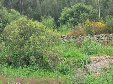 EN VENTA TERRENO EN OLLANTAY TANBO- CACHIQATA