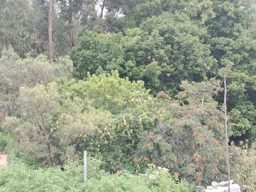 EN VENTA TERRENO EN OLLANTAY TANBO- CACHIQATA