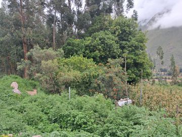 EN VENTA TERRENO EN OLLANTAY TANBO- CACHIQATA