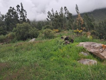 EN VENTA TERRENO EN OLLANTAY TANBO- CACHIQATA