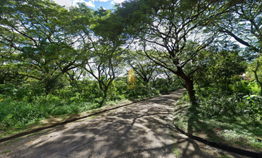 Spacious Residential Lot for Sale in Valley Golf, Antipolo