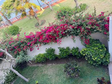 EXCLUSIVA CASA FRENTE AL MAR EN LA PUNTA 🌊 + DEPARTAMENTO ADICIONAL 🏠