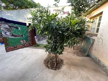 VENDO CASA 140M2 POBLACION JUAN ANTONIO RIOS INDEPENDENCIA