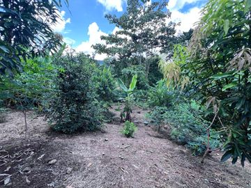 TERRENO DE VENTA, URBANIZACION, FINCA, QUINTA, HACIENDA, LOTIZACION, SECTOR PUERTO QUITO, PEDRO VICENTE MALDONADO , PICHINCHA, ECUADOR.