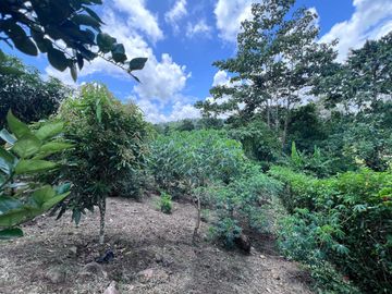 TERRENO DE VENTA, URBANIZACION, FINCA, QUINTA, HACIENDA, LOTIZACION, SECTOR PUERTO QUITO, PEDRO VICENTE MALDONADO , PICHINCHA, ECUADOR.