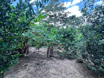 TERRENO DE VENTA, URBANIZACION, FINCA, QUINTA, HACIENDA, LOTIZACION, SECTOR PUERTO QUITO, PEDRO VICENTE MALDONADO , PICHINCHA, ECUADOR.