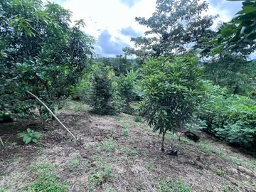 TERRENO DE VENTA, URBANIZACION, FINCA, QUINTA, HACIENDA, LOTIZACION, SECTOR PUERTO QUITO, PEDRO VICENTE MALDONADO , PICHINCHA, ECUADOR.