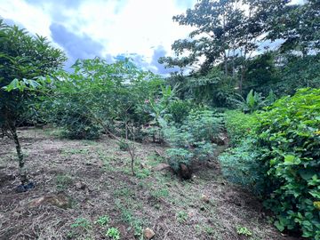 TERRENO DE VENTA, URBANIZACION, FINCA, QUINTA, HACIENDA, LOTIZACION, SECTOR PUERTO QUITO, PEDRO VICENTE MALDONADO , PICHINCHA, ECUADOR.