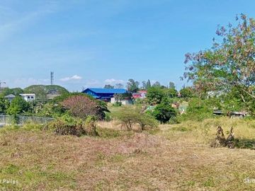 Farm Lot for Sale Near SM Molino - Just Minutes from Villar City!