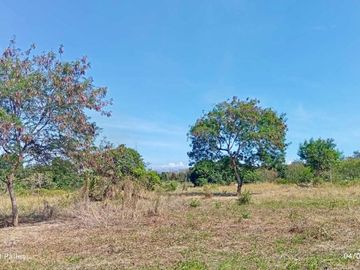 Farm Lot for Sale Near SM Molino - Just Minutes from Villar City!