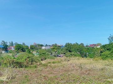 Farm Lot for Sale Near SM Molino - Just Minutes from Villar City!