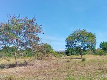 Farm Lot for Sale Near SM Molino - Just Minutes from Villar City!
