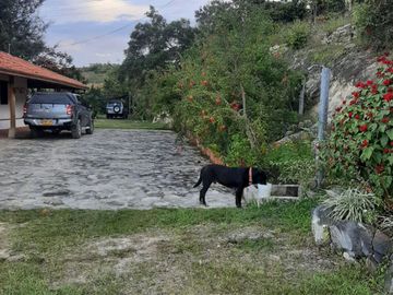 Venta de Finca en Zapatoca Santander vereda La Cacica