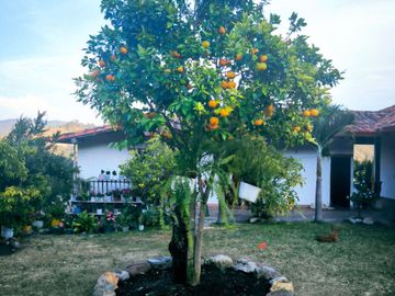 Venta de Finca en Zapatoca Santander vereda La Cacica