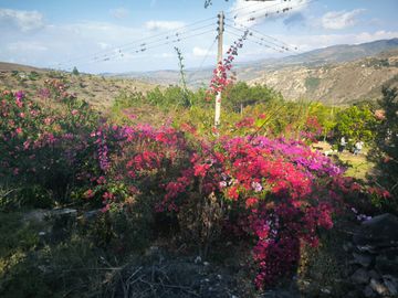 Venta de Finca en Zapatoca Santander vereda La Cacica