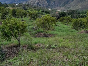Venta de Finca en Zapatoca Santander vereda La Cacica