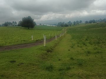 Venta hacienda de 25 hectáreas en Parroquia Alaquez