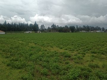 Venta hacienda de 25 hectáreas en Parroquia Alaquez