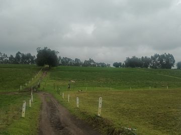 Venta hacienda de 25 hectáreas en Parroquia Alaquez