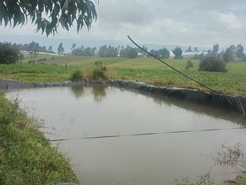 Venta hacienda de 25 hectáreas en Parroquia Alaquez