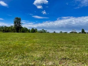 SE VENDE PARCELA DE 5.000 M2, UBICADA EN CHANCOYAN A 24 KM DE VALDIVIA.