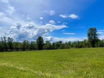 SE VENDE PARCELA DE 5.000 M2, UBICADA EN CHANCOYAN A 24 KM DE VALDIVIA.