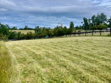 SE VENDE PARCELA DE 5.000 M2, UBICADA EN CHANCOYAN A 24 KM DE VALDIVIA.