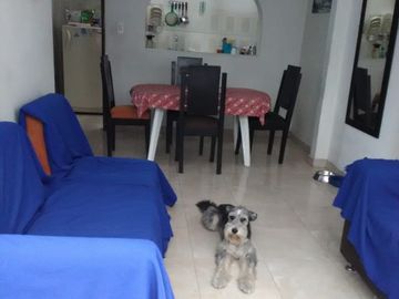 VENTA CASA BARRIO GRANADA - NORTE CALI