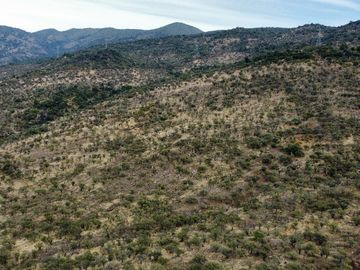 Terreno de 20,28 hectáreas uso agrícola , forestal , turismo, estancia ganadera