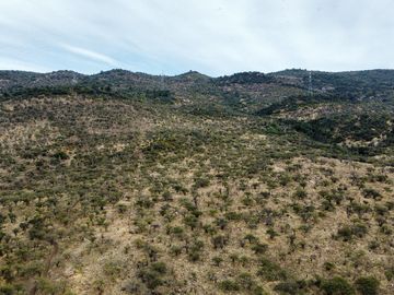 Terreno de 20,28 hectáreas uso agrícola , forestal , turismo, estancia ganadera