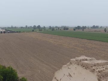 VENTA DE TERRENO EN SAN CLEMENTE PISCO