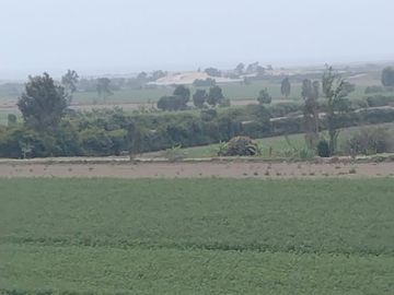 VENTA DE TERRENO EN SAN CLEMENTE PISCO