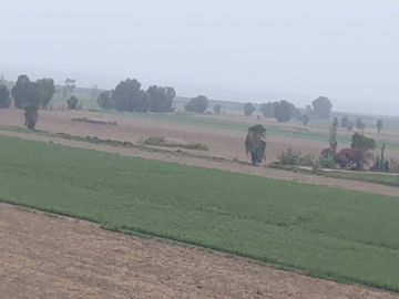 VENTA DE TERRENO EN SAN CLEMENTE PISCO