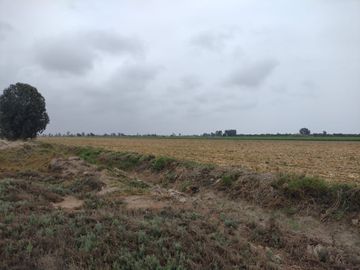 VENTA DE TERRENO EN SAN CLEMENTE PISCO