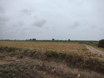VENTA DE TERRENO EN SAN CLEMENTE PISCO