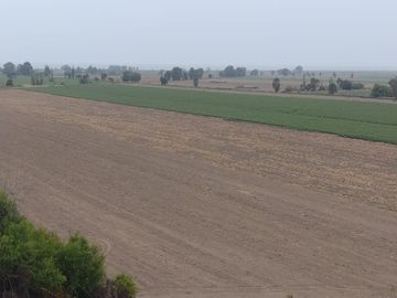 VENTA DE TERRENO EN SAN CLEMENTE PISCO