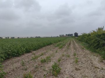 VENTA DE TERRENO EN SAN CLEMENTE PISCO