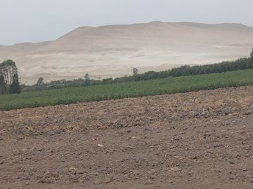 VENTA DE TERRENO EN SAN CLEMENTE PISCO
