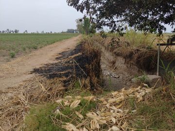 VENTA DE TERRENO EN SAN CLEMENTE PISCO