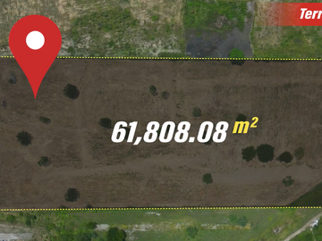 Vendo Terreno 60,000m² en Chongón, a 300m de Vía a la Costa